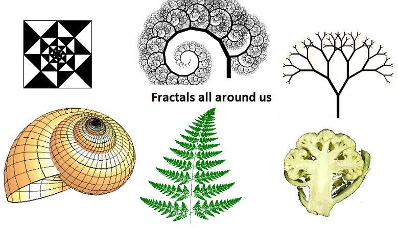 fractals%20in%20elliott%20wave%20principle.png